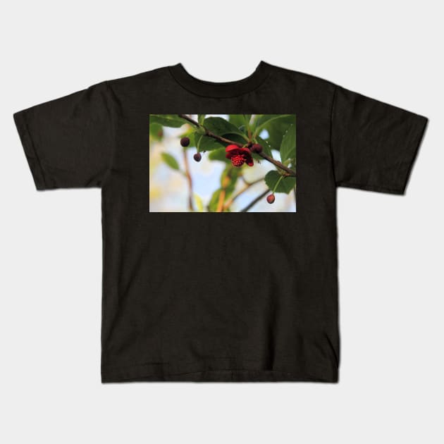 Magnolia vine - Schisandra rubriflora Kids T-Shirt by WesternExposure